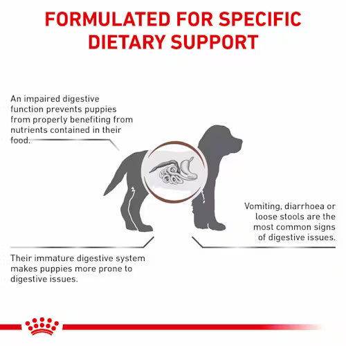 Royal Canin Gastrointestinal Puppy Dry Food 2.5kg - Tailix