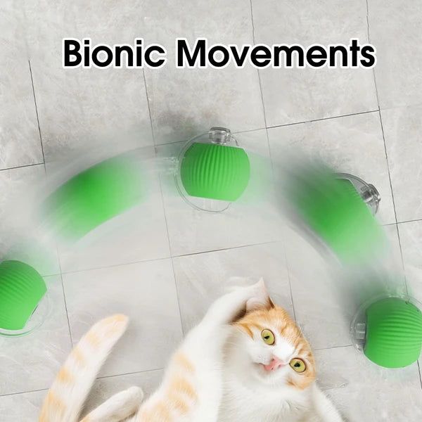 Crazy Wheel With Light Cat Chaser Toy - Tailix
