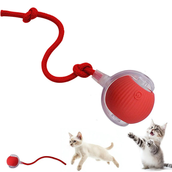Crazy Wheel With Light Cat Chaser Toy - Tailix
