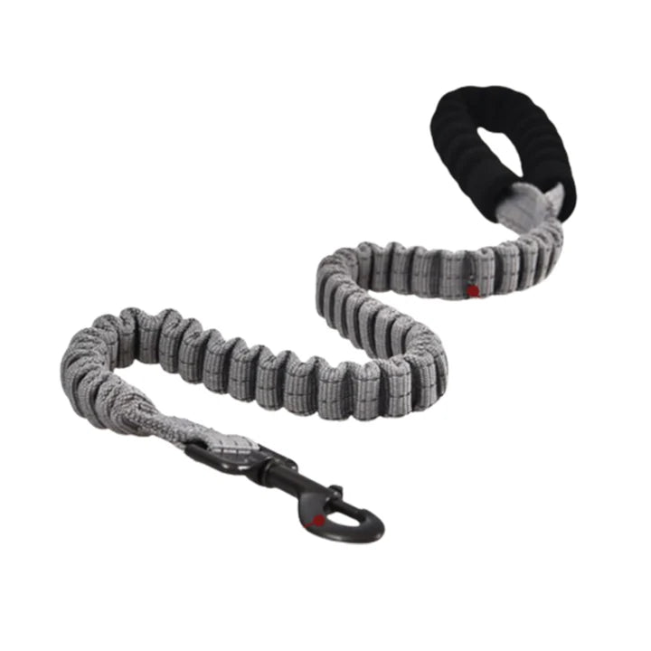 Naomi Dog Leash Extension - Tailix