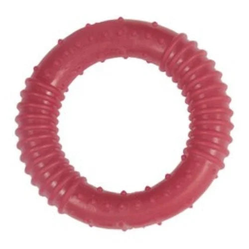 Orgo Ring Dog Chew Toy - Tailix