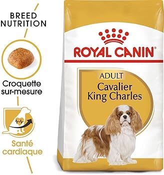 Royal Canin Cavalier Adult Dry Food 3kg - Tailix