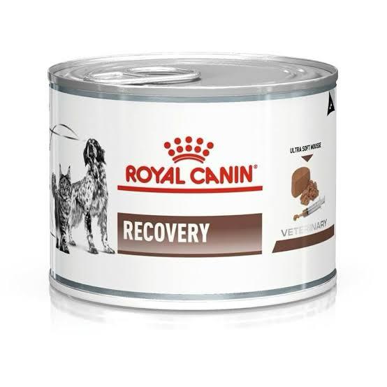 Royal Canin Recovery Wet Food Can 195g