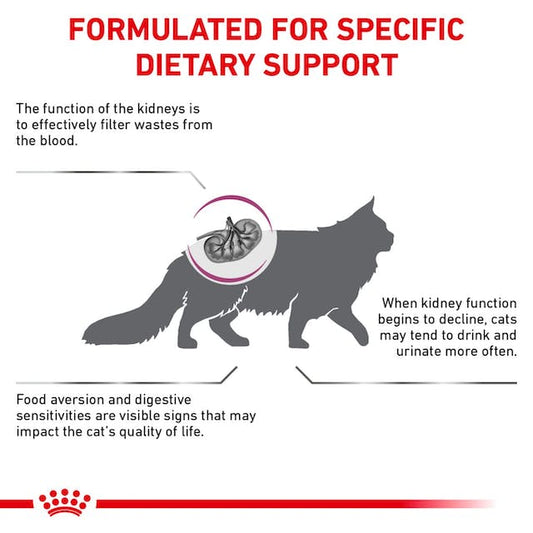 Royal Canin Renal Cat Dry Food - Tailix